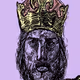 Bosnian King