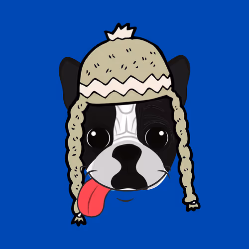 BOSTON TERRIER DOG PARK
