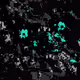 BOT_ROT BY XCOPY