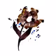botanical_art - old