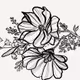 Botanical Black and Whites - Set 1