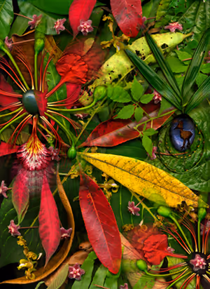 Botanical Dimensions - old