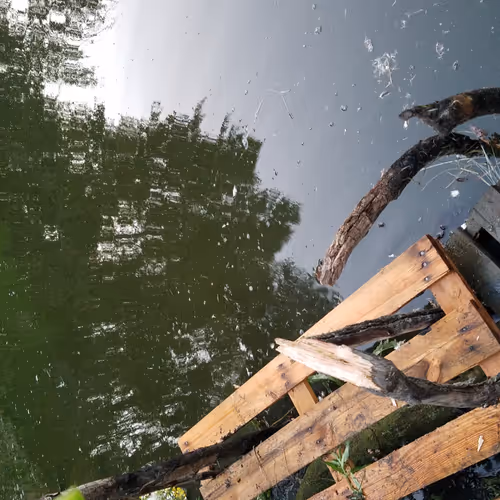 Boundless natureZ - old