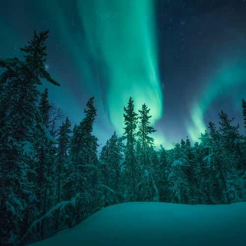 Boundless Solitude: Volume 2 - old