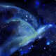 boundless starry sky