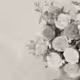 Bouquet flowers - old
