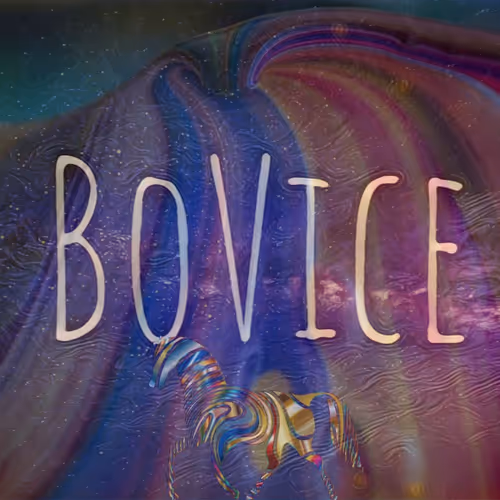 BoVice in Space