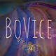 BoVice in Space
