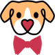 Bow Ties