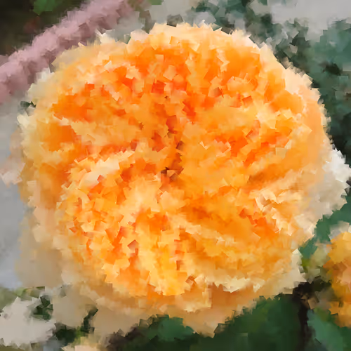 Bowl of Flower and Smile