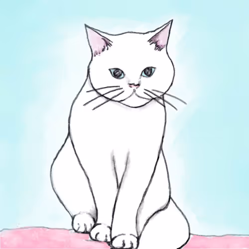 Box of Cats -