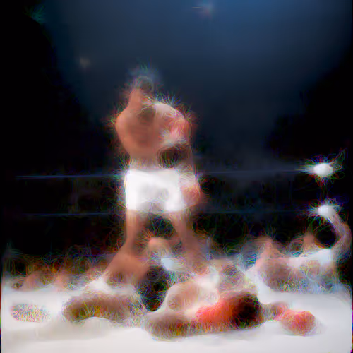 Boxer NFT