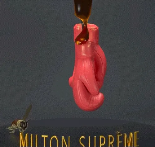 BOXING KOLLECTION BY KB