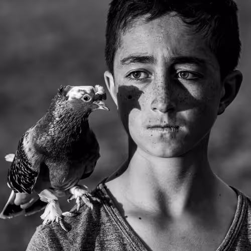 BOY ON PIGEON WINGS - old