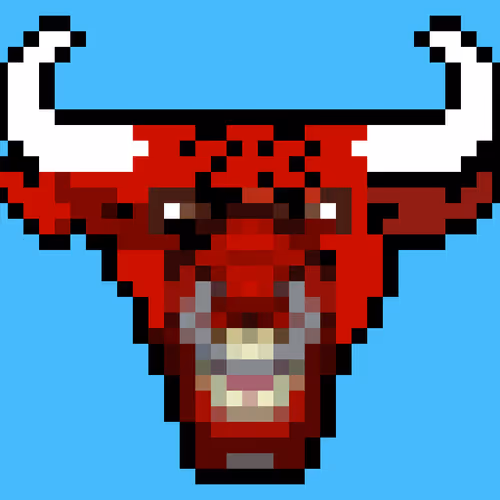 Bull Pixel Society