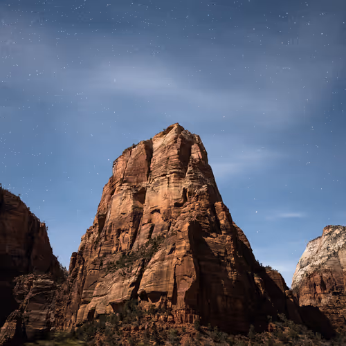 bradleymolnar Collection