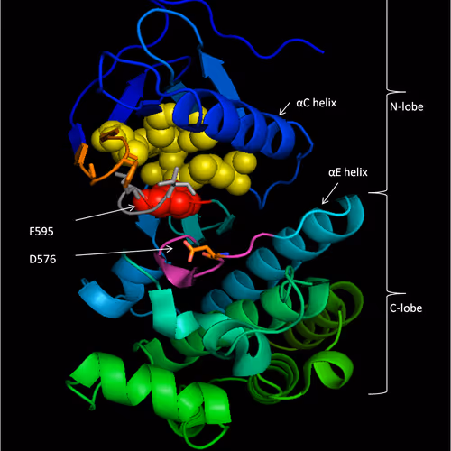 BRAF mutations