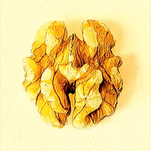 Brain Upgrade NFT Chip