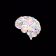 BrainMatter - old
