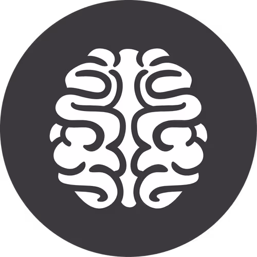 Brain Examination