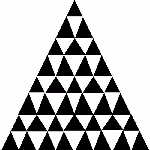 The Perception of Illusion By The Brain