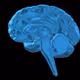 Brainwave Science NFT