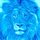 Brave Lion Collection
