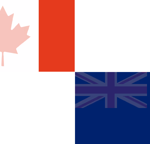 Brave New Flags