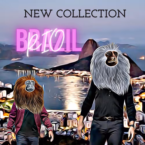 Brazil Rio de Janeiro collection