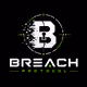Breach Protocol