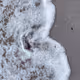 NAZONOE