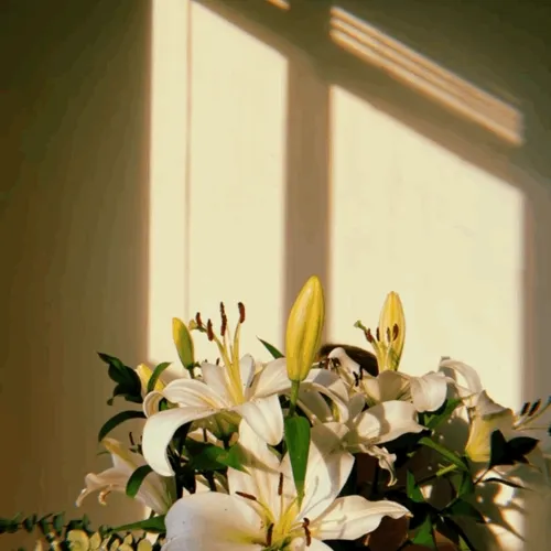 Breaking the shell - old