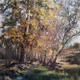 Breathing in nature