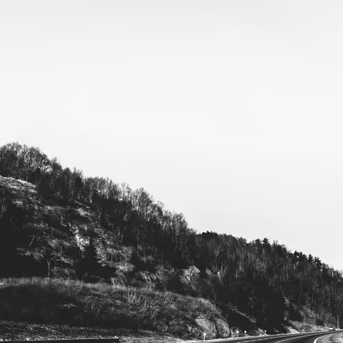 Rustic Lens