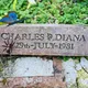 British Royalty Charles Diana Prince Wales Wedding Commemorative Brick 1981 Super Rare - old