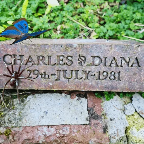 British Royalty Charles Diana Prince Wales Wedding Commemorative Brick 1981 Super Rare - old