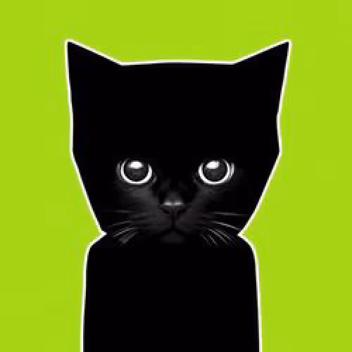 Bro Cat