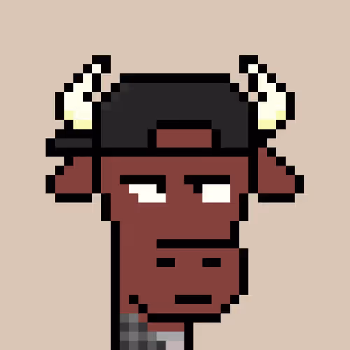 practicebrokebulls - old