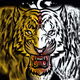 Broken Kings of Africa