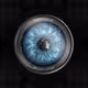 through my broken lense