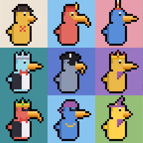 Brokey Beaks
