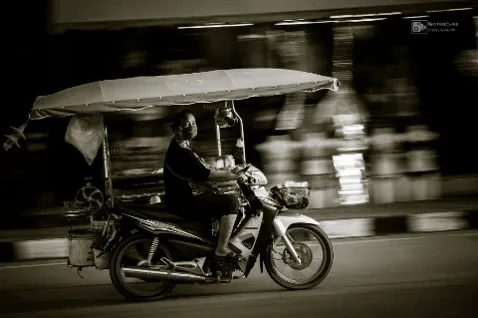 BrotherSnares Paradise Lost Collection [Polygon]