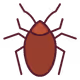 Brown Cockroach