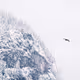 Brrr - old