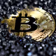 BTC ART MUSEUM