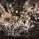 Bubble Art