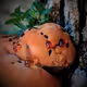 Mushroom Meme - Sad and Scary Collection