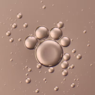 BUBBLE FEEDS
