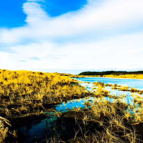 Bucktards Pictures - old