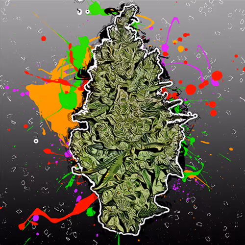 Bud Head Community - old - old